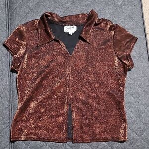Vintage 90s Selena Shimmering Bronze Short Sleeve Top Medium